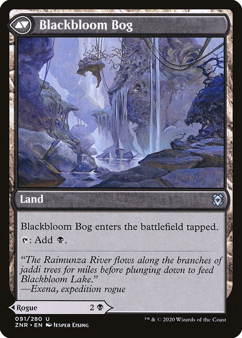 Blackbloom Rogue // Blackbloom Bog