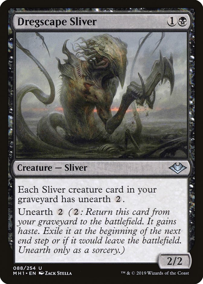 This Is An Image Of The Magic The Gathering Card Dregscape Sliver From The Set Modern Horizons - Designed By Artist Zack Stella
