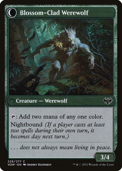 Weaver of Blossoms // Blossom-Clad Werewolf - FOIL