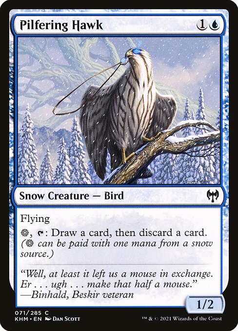 Pilfering Hawk - FOIL