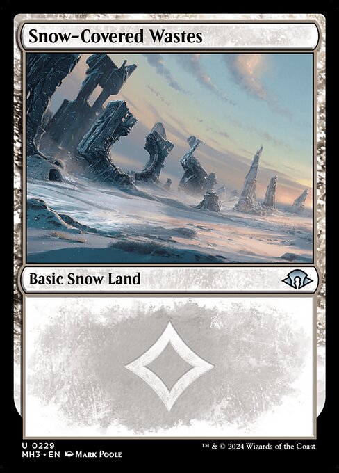 Snow-Covered Wastes - FOIL