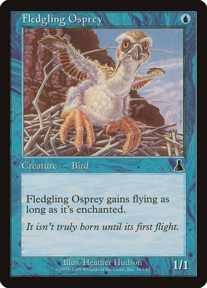 This Is An Image Of The Magic The Gathering Card Fledgling Osprey From The Set Urza's Destiny - Designed By Artist Heather Hudson