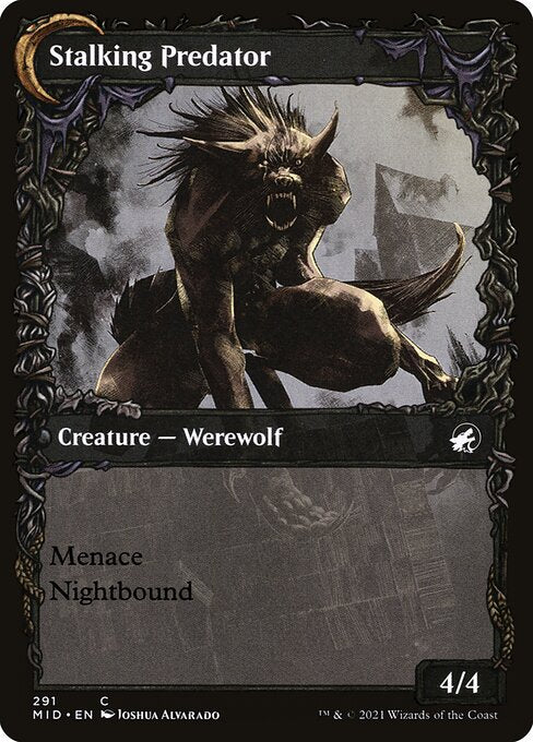 Shady Traveler // Stalking Predator - FOIL