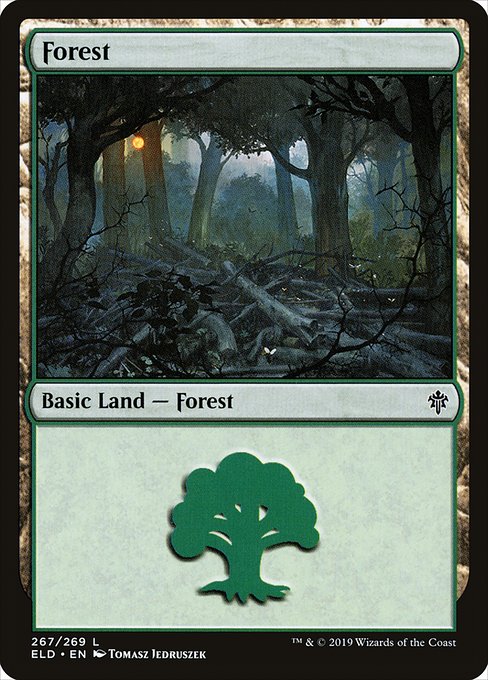 Forest - FOIL