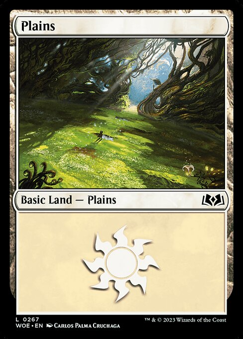 Plains - FOIL