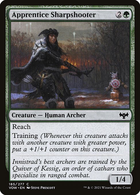 Apprentice Sharpshooter - FOIL