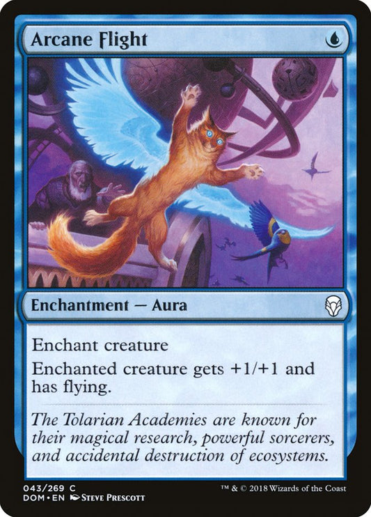 This Is An Image Of The Magic The Gathering Card Arcane Flight From The Set Dominaria - Designed By Artist Steve Prescott
