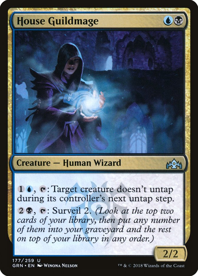 This Is An Image Of The Magic The Gathering Card House Guildmage From The Set Guilds of Ravnica - Designed By Artist Winona Nelson