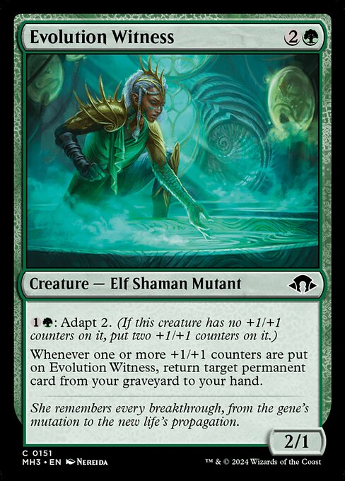 Evolution Witness - FOIL