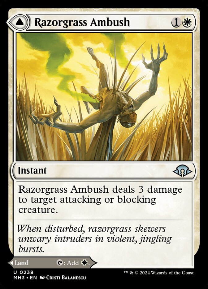 This Is An Image Of The Magic The Gathering Card Razorgrass Ambush // Razorgrass Field From The Set Modern Horizons 3 - Designed By Artist Cristi Balanescu