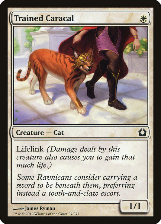 This Is An Image Of The Magic The Gathering Card Trained Caracal From The Set Return to Ravnica - Designed By Artist James Ryman