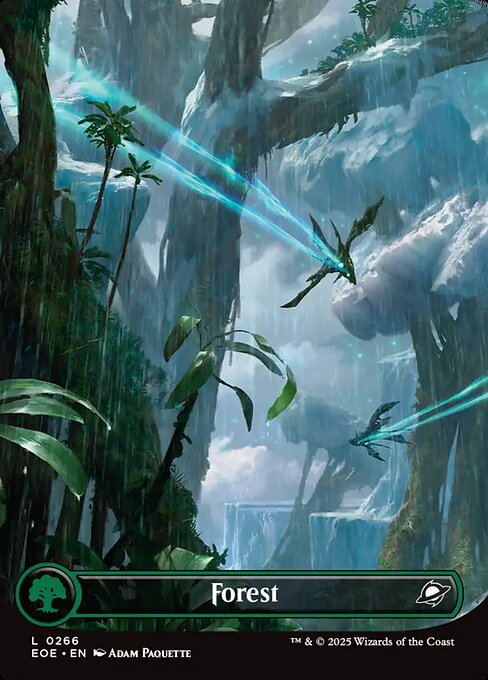 Forest - FOIL