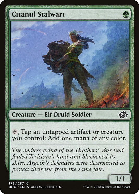 This Is An Image Of The Magic The Gathering Card Citanul Stalwart From The Set The Brothers' War - Designed By Artist Alexandr Leskinen