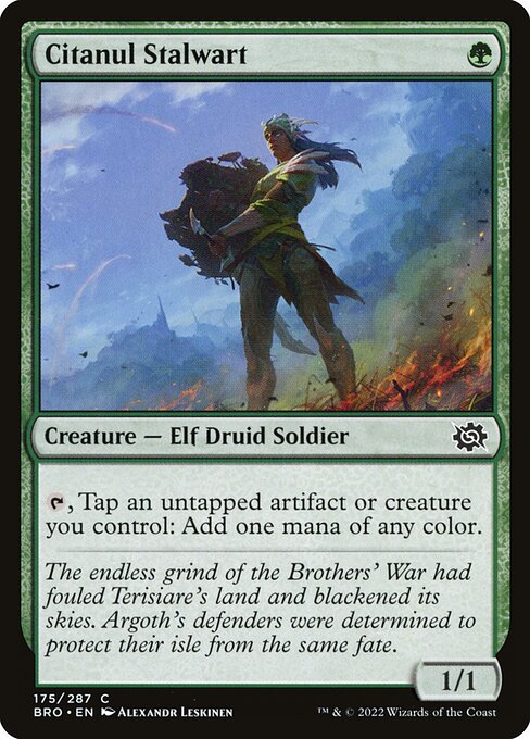 Citanul Stalwart - FOIL