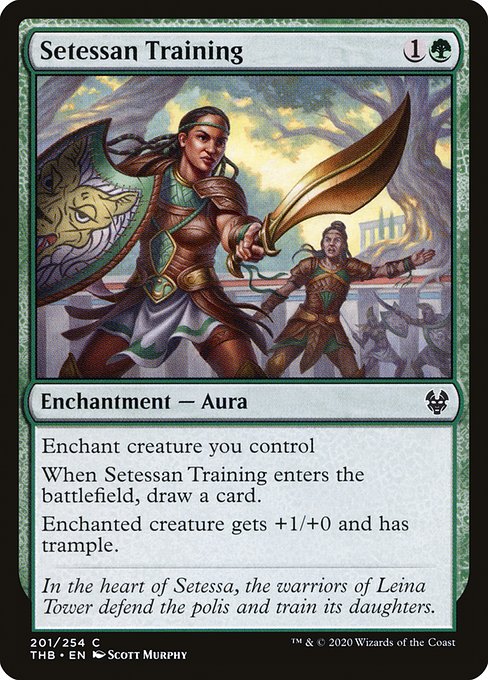 Setessan Training - FOIL