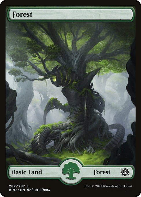 Forest - FOIL