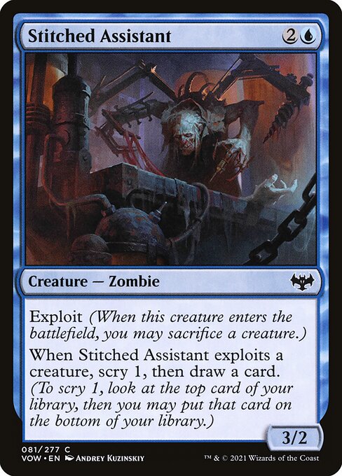 Stitched Assistant - FOIL