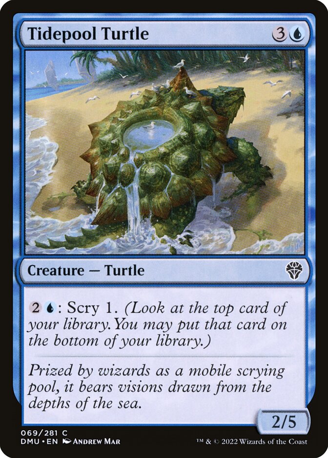 This Is An Image Of The Magic The Gathering Card Tidepool Turtle From The Set Dominaria United - Designed By Artist Andrew Mar