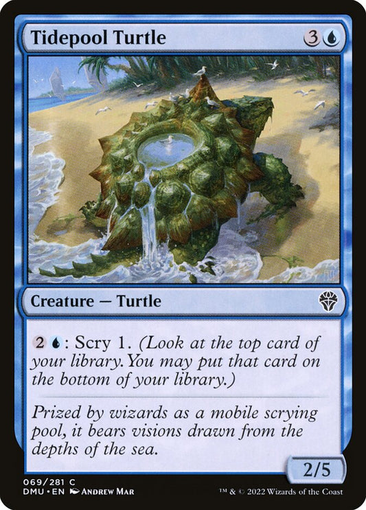 This Is An Image Of The Magic The Gathering Card Tidepool Turtle From The Set Dominaria United - Designed By Artist Andrew Mar