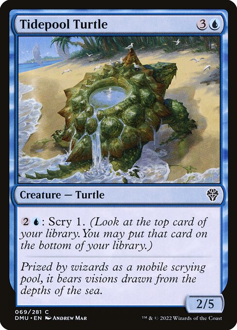 Tidepool Turtle - FOIL