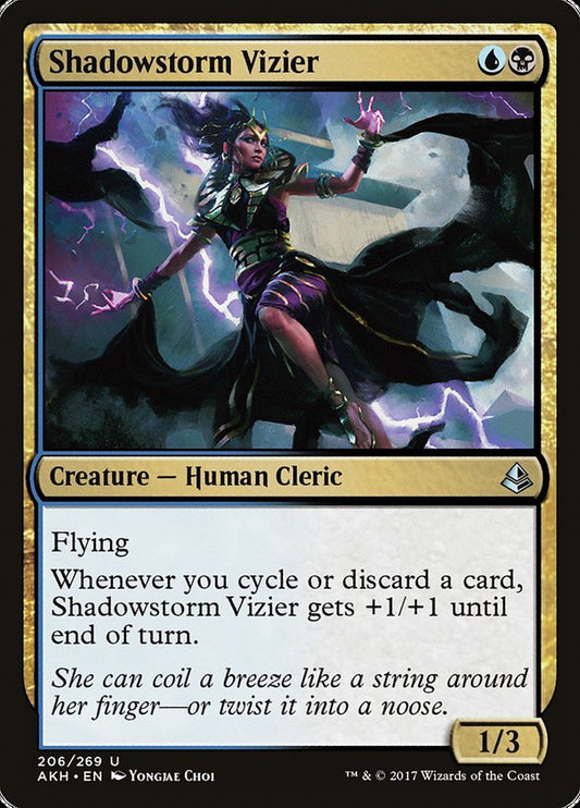 This Is An Image Of The Magic The Gathering Card Shadowstorm Vizier From The Set Amonkhet - Designed By Artist Yongjae Choi