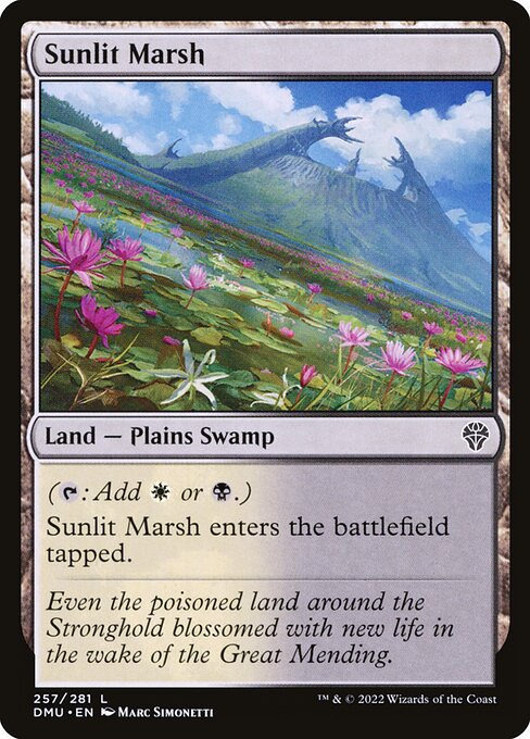 Sunlit Marsh - FOIL